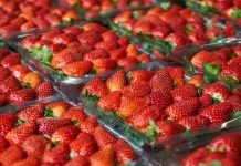 AKU Shqipëri konfirmon se 52 kg dredhëza me pesticide nga Greqia janë shitur në tregun shqiptar