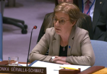 Gërvalla në Këshillin e Sigurimit kërkon përfundimin e misionit të UNMIK-ut