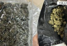 “Goditet” rrjeti i trafikimit të kanabisit në Shqipëri, Policia e Shtetit jep detaje