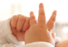 Haraçina, Studeniçani, Saraji, Likova dhe Çairi kryesojnë për rritjen natyrore të popullsisë