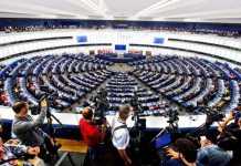 Raporti i Thomas Waitz për Maqedoninë e Veriut para anëtarëve të PE-së, një përpjekje e re për votim