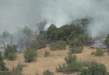 Zjarri afër Bllacës nuk është shuar ende, 7 zjarre aktive në RMV