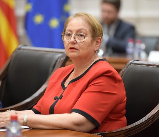 Janevska: Aktualisht po punojmë sipas kallëzimeve për falsifikim diplomash, janë shqiptuar dënime