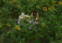 Fifi publikon këngën e re “Zemrën”