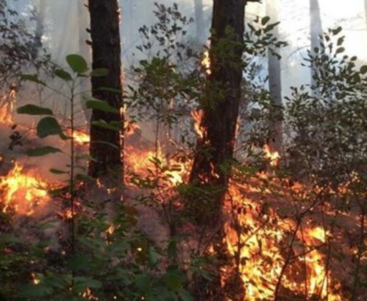 Maqedonia në flakë, zjarrfikësit në luftë me zjarret