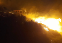 QMK: Brenda një dite 51 zjarre në hapësira të hapura, tetë janë aktive