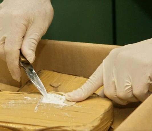 30 ditë paraburgim për shtetasin e Maqedonisë që u kap në Greqi me 324 kg marihuanë