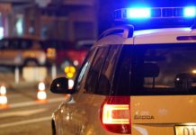 Policia ndalon 33-vjeçarin nga fshati Tanushë: Transportonte mall pa dokumentacion përkatës