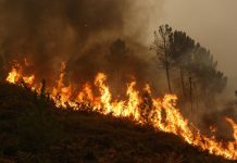QMK: Një zjarr aktiv në territorin e RMV-së, një nën kontroll dhe tetë janë shuar
