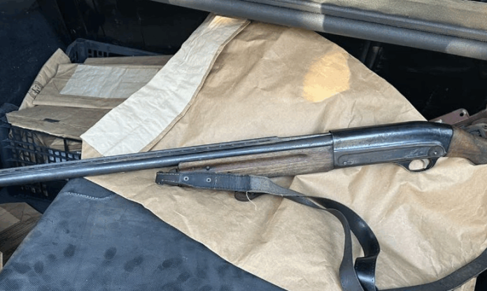 Pushk_gjuetie-780x466