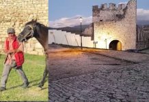 Pronari i kalit e vrau turistin nga Tirana në sy të fëmijëve, veç pse s’e pagoi foton