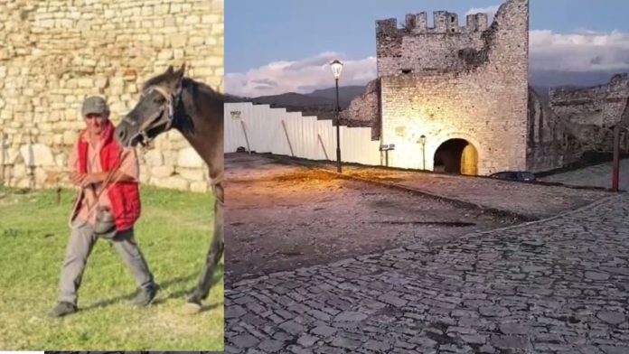 WhatsApp-Image-2025-10-28-at-17_sd