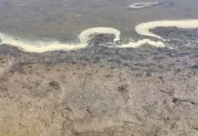 Ndotja në Liqenin e Prespës është alarmante