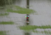 Përmbytjet në Malajzi prekin 11 mijë njerëz në shtatë shtete