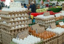 Shtrenjtime marramendësde – Një vezë mbi 12 denarë!