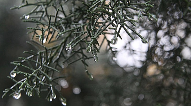  2 gradë  sot në Berovë