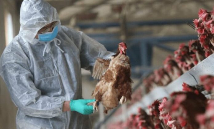 auto_961217631894591763190925-780x470