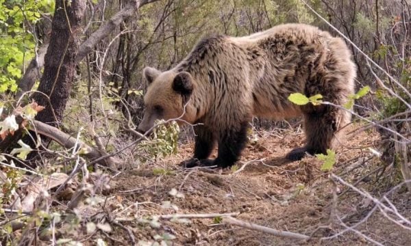 dca4bc2c-925a-4297-9a51-2932e143f2e9