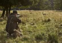 Arrestohen 6 persona për gjueti të paligjshme