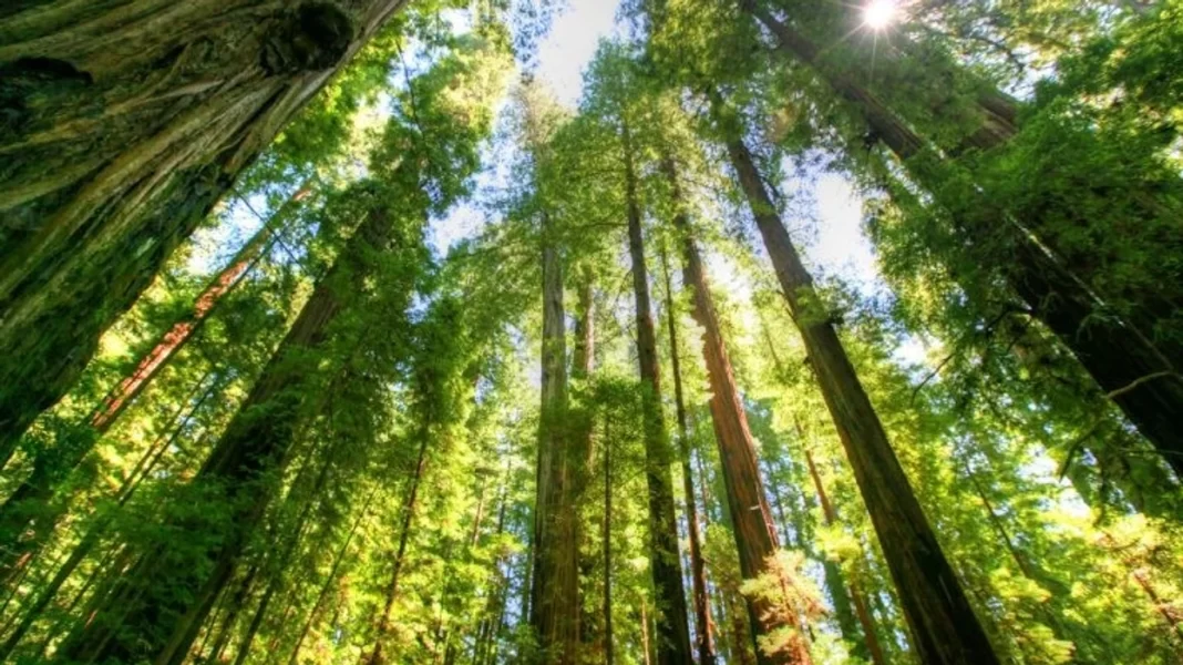 2017-03-pyjet-foto-jpg