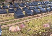 S’ka paqe për Australinë! Sulm vandal në varrezat myslimane, gjenden koka të prera…