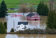 Përmbytjet në Uashington detyrojnë një qytet të tërë të evakuohet