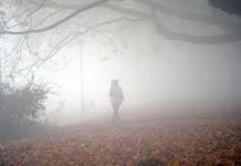 Parashikimi i motit për sot