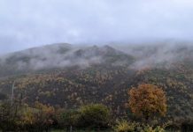 Parashikimi i motit për sot