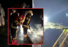 E vrau me revole dhe e varrosi – detaje të reja nga vrasja monstruoze në Negotinë të Gostivarit