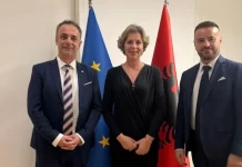 Aliu–Sala: Ekzistojnë mundësi për thellimin e bashkëpunimit me Republikën e Shqipërisë në fushën e shëndetësisë