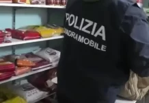 Operacion i madh antidrogë në Itali, të paktën 384 të arrestuar