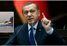 Rusia bombardoi tre anije turke, reagon Erdogan