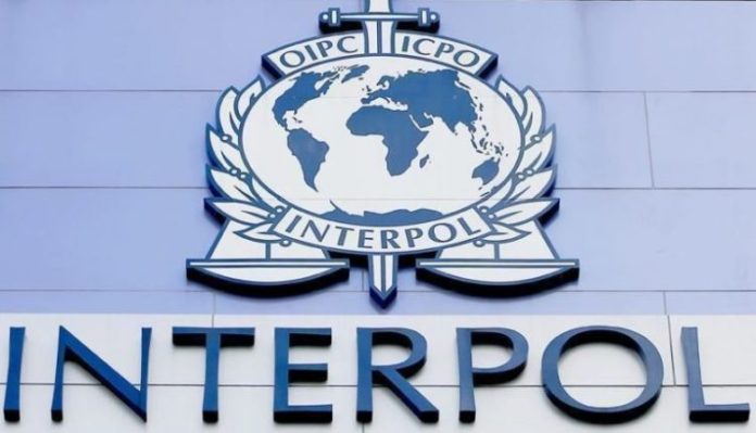 interpol-780x439-1-750x430
