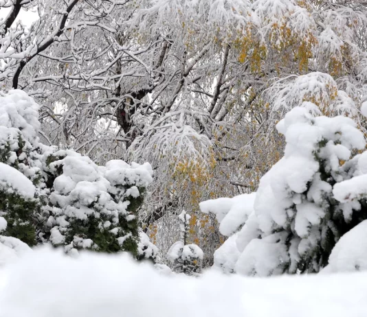 Borë në male dhe shi, nga sot e ditëve në vijim