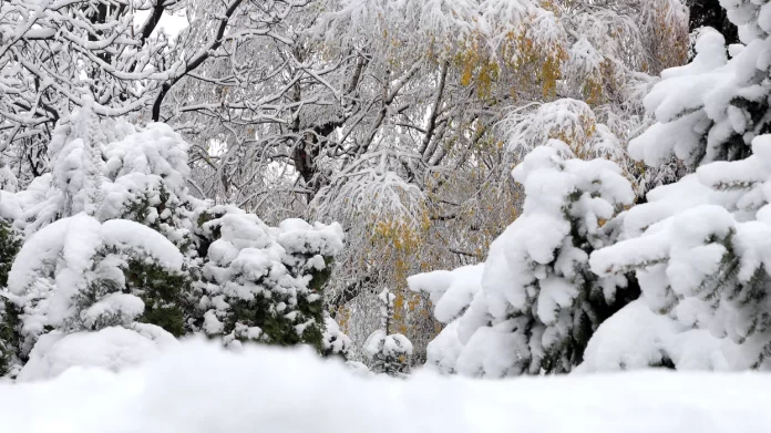 2024-12-reshje-bore-ne-prishtine-foto-ridvan-slivova-34-jpg