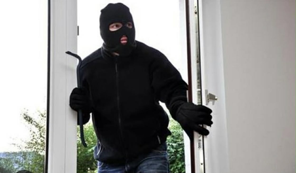 Arrestohen 2 hajna në Kumanovë