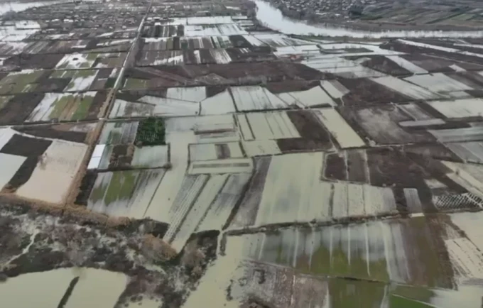 9863d392-84e6-44a2-a379-2994c4c3a114