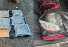 Kapet mariuhanë, policia arreston shkupjanin dhe tetovarin