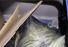 “Tigrat” në automjetin me targa zvicerane, kapin 200 kg marihuanë