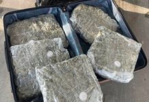 Arrestohet një 31-vjeçar nga Kumanova, në automjet i gjenden mbi pesë kilogramë marihuanë