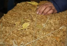 Risteski: Blerja e duhanit përfundoi më shpejt se sa pritej