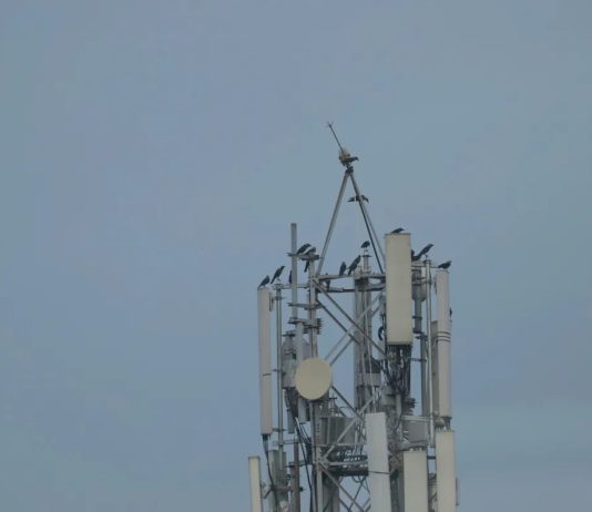 Operatori i tretë mobil në RMV do të fillojë punën në fillim të vitit 2027, do të ketë rrjetin e vet 5G