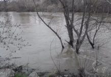 Vardari ka arritur nivel kritik në Shkup