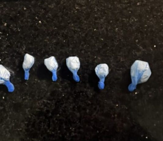 Arrestohen 4 veta, kapet kokainë dhe armë në Çegran të Gostivarit