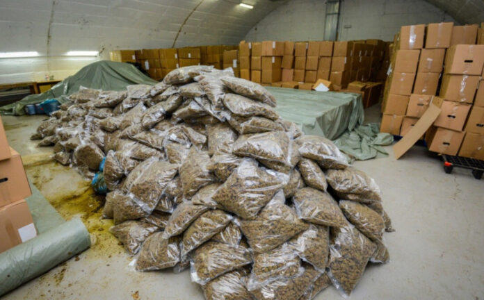 2026-02-18_145833-696x432