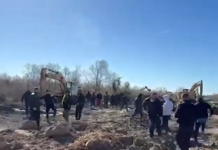 Plas grushti mes policisë dhe banorëve në Velipojë