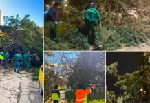 Era e fuqishme në Shkup, rrëzoi disa drunj