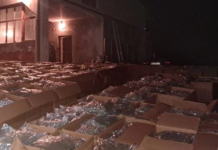 Kompania nga ku ka dalë sasia e madhe e drogës rezulton të jetë “Alfafarm Grup”, e pajisur me leje nga Qeveria Teknike