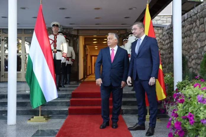 461405616_1131621054986486_5531235515414015791_n