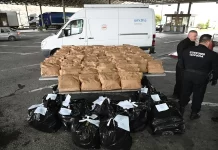 Lidhjet serbe edhe në kompani të tjera të kanabisit nga Maqedonia